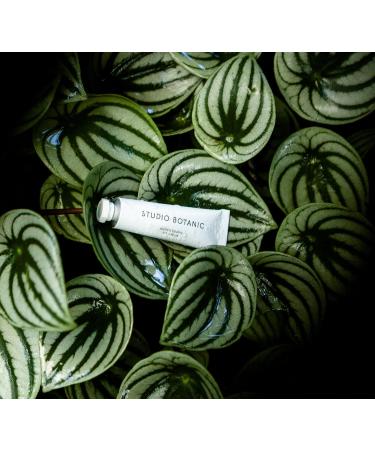 Studio Botanic Eye Cream - Rich Regenerating Care for Eyes | 100% Natural & Certified Vegan | 15ml Alutube - Buy Online on GoSupps.com