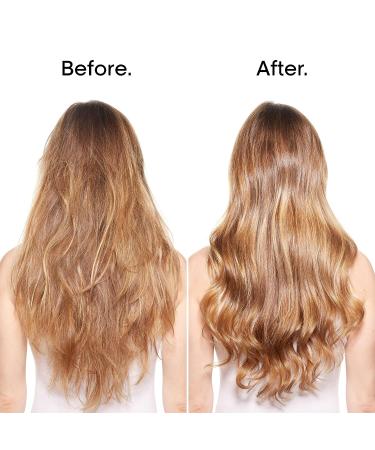 L'Oreal Professionnel Purple Shampoo for Color Treated Hair - 16.9 Fl. Oz - Buy Online on GoSupps.com