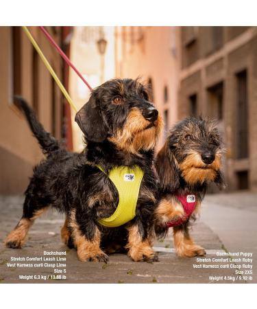 Curli Vest Harness - Air-Mesh Moss L Gr n | Comfortable & Stylish Dog Harness for International Shipping - Buy Online on GoSupps.com