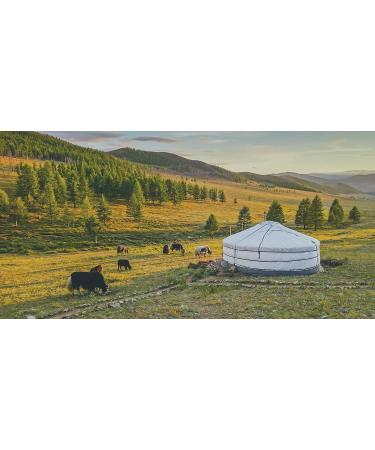 Happy Yak Socks - The Adventurist | 40% Yak Cashmere | Large Grey - Buy Online on GoSupps.com