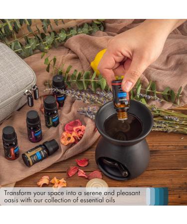 Shop 100% Pure Aromatherapy Citrus & Spice Essential Oil Set - 12 Pack with Gray Hard Shell Case | Frankincense Cinnamon Lemon & More - Buy Online on GoSupps.com