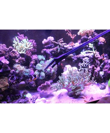 AquaticHI 27 inch Aquarium Tongs - 100% Reef Safe | Multi Purpose Fresh and Saltwater Fish Tank Tool for Clip Plants, Spot Feed Fish and Coral | Keep Hands Dry - Buy Online on GoSupps.com