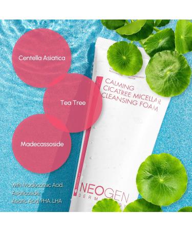 Dermalogy by Neogenlab Calming Cica Tree Micellar Cleansing Foam - Moisturizing & Creamy Cleanser for Sensitive Skin | Korean Skincare (200 ml) - Buy Online on GoSupps.com