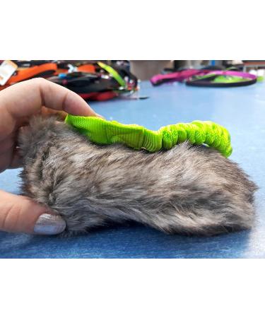 Dingo Dog Toy - Squeaky Fur Green Bungee Handle Tug & Training Game for Dogs | Fleece Mop Sausage 15584-2 - Buy Online on GoSupps.com