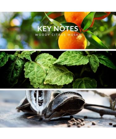 Reyane Tradition Insurrection (Sport II) - Buy Online on GoSupps.com