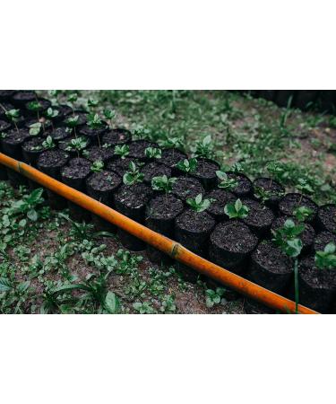 LaProve Mexican cloud coffee Procurador Arabica 1000 g - Buy Online on GoSupps.com