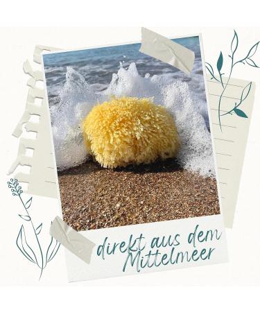 Tom & Pat Natural Bathing Sponge - Soft Greek Spa Quality for Sensitive Skin & Babies Dermatest Approved | 13-14 cm - Buy Online on GoSupps.com