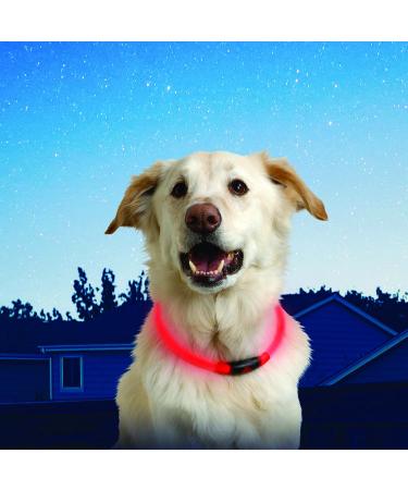 NiteHowl LED Safety Chain - Classic Adjustable Red | Enhance Night Visibility & Safety - Buy Online on GoSupps.com