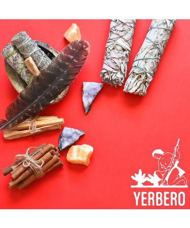 Dragon's Blood Sage Smudging Kit - Pack of 3 Hand-Tied Bundles for Home Cleansing and Meditation - Buy Online on GoSupps.com