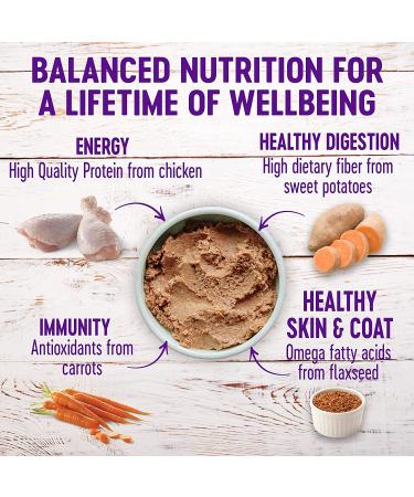 Wellness Complete Health Natural Puppy Food - Chicken & Salmon 12.5oz Can (Pack of 12) - Buy Online on GoSupps.com