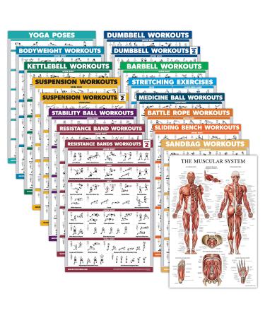 17 Pack-exercise poster set: dumbbell suspension spherical dumbbell muscles medicine ball fighting rope resistance tapes stretching body weight barbell yoga and more (laminated 45.7 x 61 cm) laminated 18 "X 24" - Buy Online on GoSupps.com