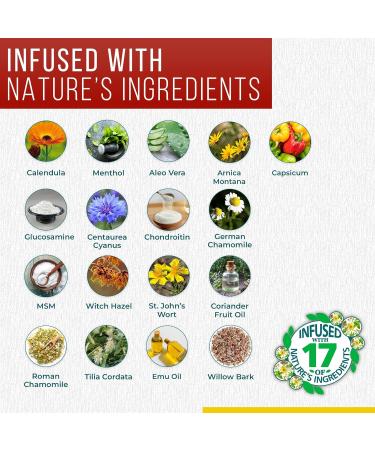 Real Time Pain Relief Cream 4oz Tube | 17 Natural Ingredients: 1.25% Menthol Arnica & MSM | Muscle Strain & Joint Discomfort Relief for Arthritis Cramps Sprains Bruises Hands Back & Knee Pain 4 Ounce - Buy Online on GoSupps.com