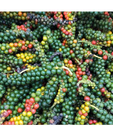 The Spice Brigade - Organic & PGI Kampot Red Pepper - 100g - PREMIUM - Whole grains - Packaged in France - Buy Online on GoSupps.com