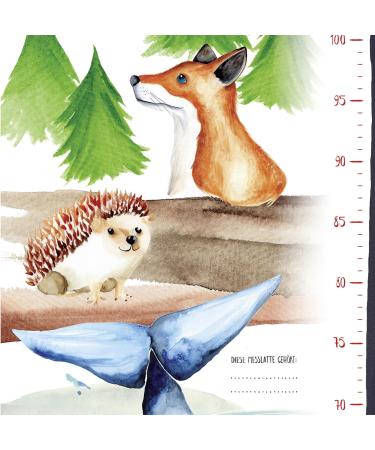 Close Up Height Chart Poster for Kids | Children s Room Wall Picture | 30 x 91.5 cm | Perfect for Boys & Girls - Buy Online on GoSupps.com