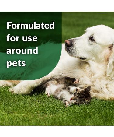 Simple Green Outdoor Pet Odor Eliminator - Ideal for Artificial Grass & Patio - 32oz Hose End Sprayer & 1 Gallon Refill - Buy Online on GoSupps.com