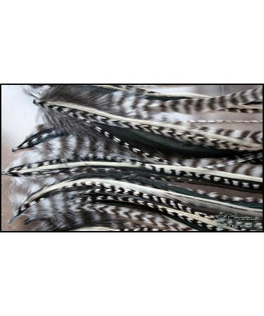 Buy Grizzly Extensions EasyIn Big Black and White Feather Extensions | International Shipping Available - Buy Online on GoSupps.com