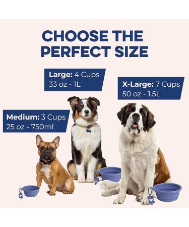 Bonza Extra Large Foldable Dog Bowl | Portable & Leak-Proof for Medium to Large Pets - Premium Travel Bowl in Navy Blue - Buy Online on GoSupps.com