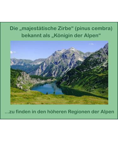 Premium Pine Balm - Regenerative Skin Care with Austrian Stone Pine | Soothes Neck Muscles & Joints | 100ml Pack - Buy Online on GoSupps.com