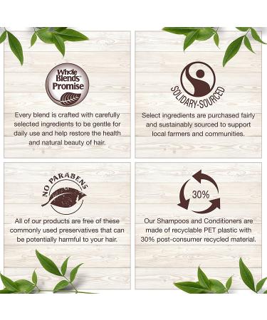 Garnier Whole Blends Green Apple & Green Tea Conditioner 12.5 fl. oz - Buy Online on GoSupps.com