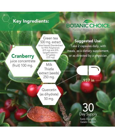 Botanic Choice Ultra Kidney Complex - Optimal Kidney Support with Milk Thistle, Green Tea & More- 60 Capsules - Buy Online on GoSupps.com