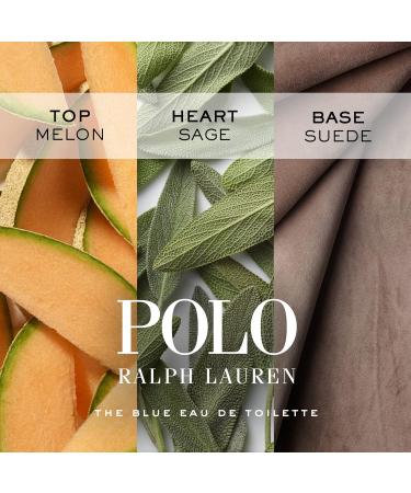 RALPH LAUREN FRAGRANCES Polo Blue Men's Deodorant - Citrus Fresh - 2.6 Oz. - Buy Online on GoSupps.com