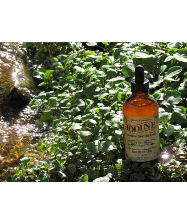 Fathers Formulations Iodine Supplement Drops 4oz | Immune & Thyroid Support - Buy Online on GoSupps.com