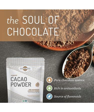 Organic Cacao Powder 14 oz - Earthtone Foods | Natural Superfood for Baking & Smoothies - Buy Online on GoSupps.com