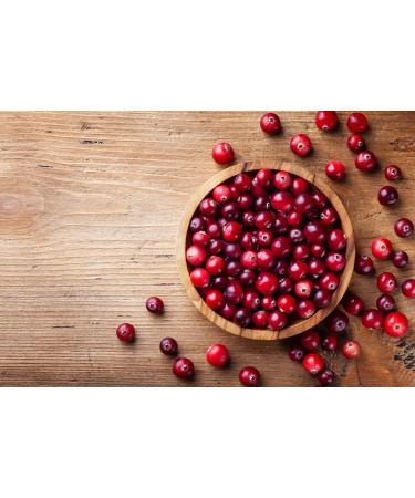 OSLOVE Unrefined Cranberry Seed Oil 4 oz - Cold Pressed - Moisturizer for Skin & Hair - Anti-Aging & Softening Benefits - International Shipping Available - Buy Online on GoSupps.com