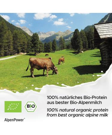 Alpine Power Organic Whey Protein Gingerbread 500g - 100% Natural Additive-Free CFM Protein Powder from Organic Alpine Milk - Buy Online on GoSupps.com