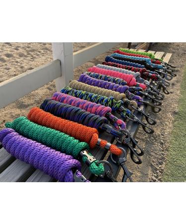 TGW Riding 9' Tri-Colored Nylon Horse Lead Rope with Big Silver Snap - Buy Online on GoSupps.com