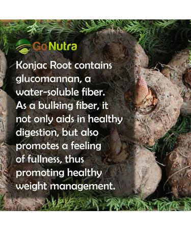 Konjac Root Extract Powder 2.2lb - Glucomannan Prebiotic Fiber Supplement for Regularity & Keto Diet - Cornstarch Substitute - Amorphophallus Konjac Pure 1kg - Buy Online on GoSupps.com