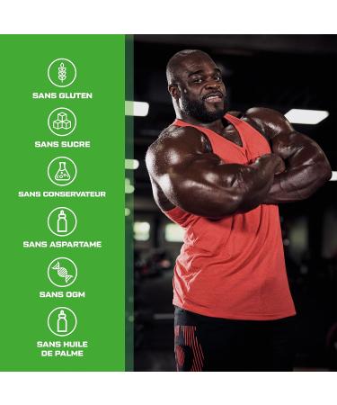 Scitec Nutrition 100% Whey Isolate - Pure Protein Power avec BCAAs - Glutamine & Arginine - Formule sans sucre ni gluten 1816 g Vanille Vanille 1816 g - Buy Online on GoSupps.com