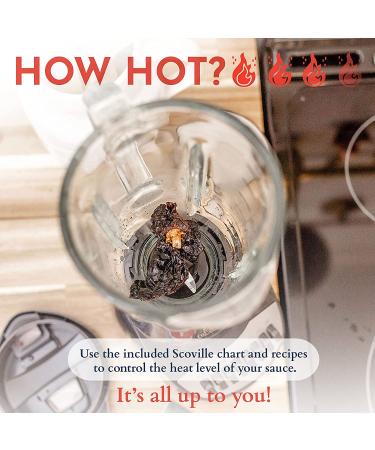 DIY Hot Sauce Making Kit - Includes Ingredients, Recipes, & Bottles - Perfect Gift for Birthdays & Fathers Day - Buy Online on GoSupps.com