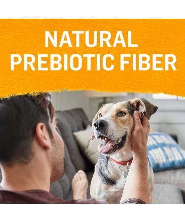 Purina Beyond Grain Free Wet Dog Food - Chicken, Carrot & Pea - 12 Cans (13 oz) - Natural Adult Entree - Buy Online on GoSupps.com