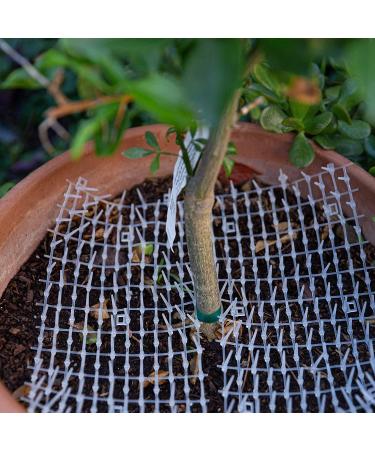 Ultragica Cat and Dog Scat Roll - 13 Feet Plastic Pet Training Mat for Couch Protection and Deterrent - Buy Online on GoSupps.com