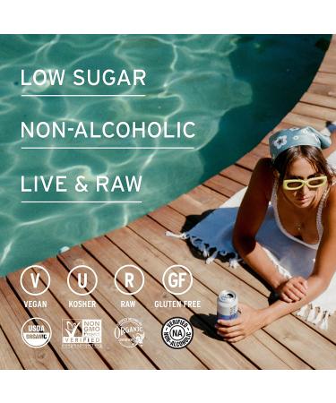 Better Booch Organic Kombucha Variety Pack - Probiotic Rich Sparkling Tea - Vegan, Gluten-Free & Low Sugar - 16 Fl Oz Cans, 9-Pack - Buy Online on GoSupps.com