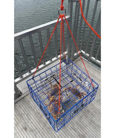 AirFly 4 Arm Crab Trap Harness with 304 Stainless Steel Hooks - Buoy Float Combo Rope - Buy Online on GoSupps.com