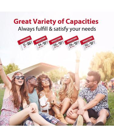Gigastone 512GB Gaming Plus Micro SD Card for Nintendo-Switch, Wyze, GoPro, Dash Cam - 4K Video Recording - UHS-I A1 U3 V30 C10 - up to 100MB/s (1-Pack) - Buy Online on GoSupps.com