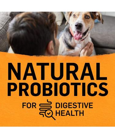Beyond Simply 9 Natural Dry Dog Food + Beyond Grain Free Ground Entr e Wet Dog Food Variety Pack - Buy Online on GoSupps.com