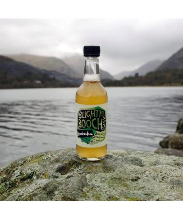 Blighty Booch Kombucha Bottled Tea Drink - 12 x Bramley Elderflower Flavour - Naturally Sparkling Fermented Unpasteurised Live Culture - Vegan Organic Gluten Free Apple - Buy Online on GoSupps.com