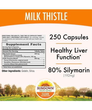 Buy Sundown Naturals Milk Thistle 240mg | 250 Capsules - Standardized Extract for Liver Support - Buy Online on GoSupps.com