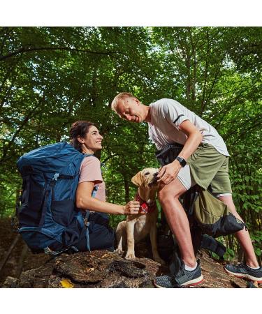 Earthborn Elements Bacopa Monnieri 200 Capsules Pure & Undiluted No Additives 200 Count (Pack of 1) - Buy Online on GoSupps.com