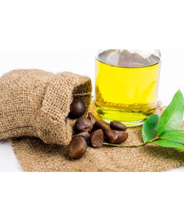 OPO Camellia Seed Oil - 8 oz - Pure Unrefined Cold Pressed Non-GMO Japanese Bulk Carrier Oil for Skin Hair Nails Body Facial Hair - Hydrating Nourishing Moisturizing - Organic Pure Oil 8 Ounce (Pack of 1) - Buy Online on GoSupps.com