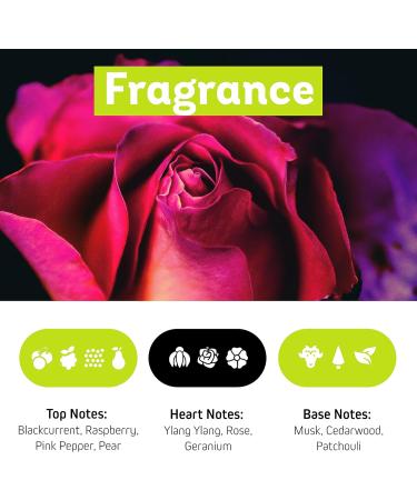 Muscle Balm 3.4 oz - Soothe Soreness in Back & Legs - All Natural Muscle Cream with MSM Arnica Menthol & Hemp - Non-Greasy Relief - Buy Online on GoSupps.com