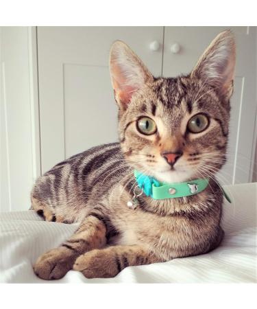 Kittyrama Cats & Kittens Neck Bands - Vet Approved Breakaway Hypoallergenic - As Seen in Vogue | Shop Stylish & Comfortable Designs - Buy Online on GoSupps.com