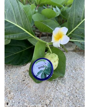 Kingfisher's Noni Body Balm Set Hydrating & Moisturizing Cream with Noni Oil & Camellia Butter, Gentle Care Balm, 2-Pack x 10g - Buy Online on GoSupps.com