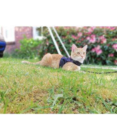 Mynwood Cat Jacket/Harness Black Denim Adult Cat black adult - Buy Online on GoSupps.com