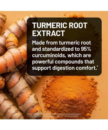 NatureWise Berberine 1000mg - Berberine Phytosome + HCI + Turmeric & Digestive Enzymes - Supports Healthy Blood Sugar + GI + Metabolism + Cholesterol - Non-GMO USA Manufactured - 30 Day Supply  - Buy Online on GoSupps.com