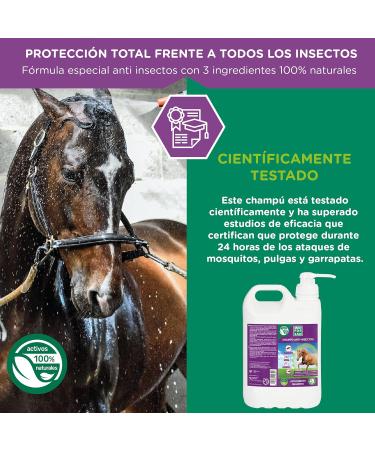 MENFORSAN Flea Shampoo for Horses 5L with Margosa Geraniol and Lavandin Protects Against All Insects - Buy Online on GoSupps.com
