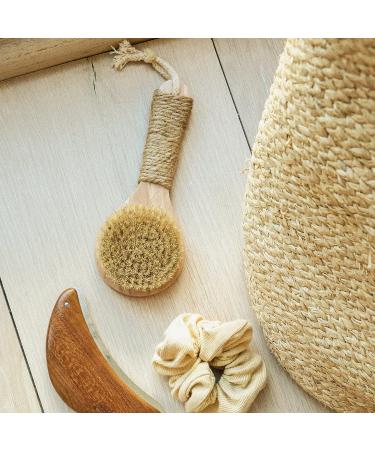 Esker All Natural Bristle Dry Brush - Vegan & Cruelty-Free | Clean Beauty - Buy Online on GoSupps.com